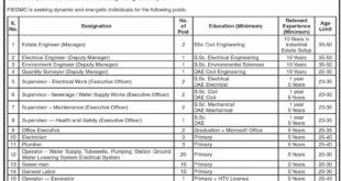 Faisalabad Industrial Estate Development & Management Company Job Vacancy